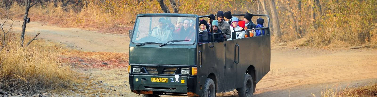 Canter safari in Ranthambore National Park